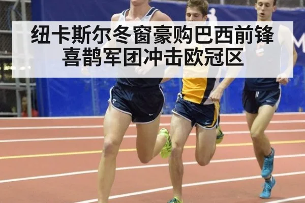 纽卡斯尔冬窗豪购巴西前锋 喜鹊军团冲击欧冠区