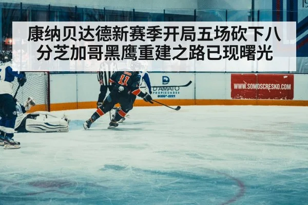 康纳贝达德新赛季开局五场砍下八分芝加哥黑鹰重建之路已现曙光